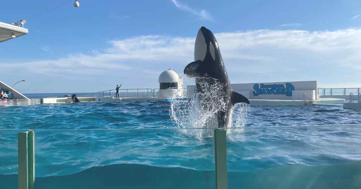 【子供連れ】冬でも楽しめる！千葉・南房総1泊2日旅行