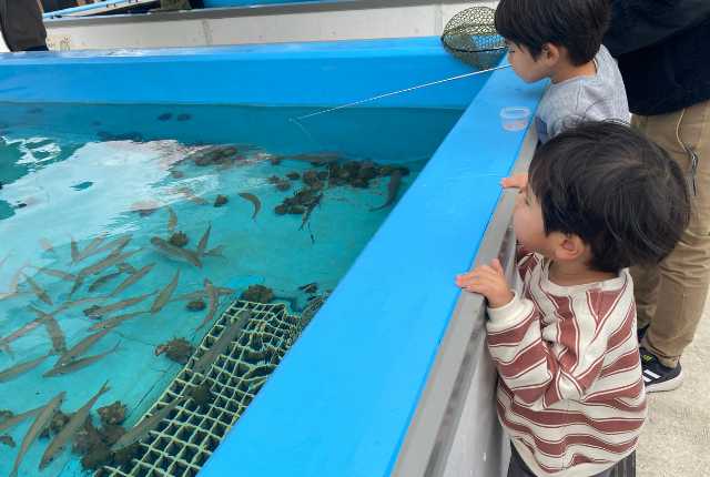 【晴れパークたてやま】釣りを楽しむ息子たち