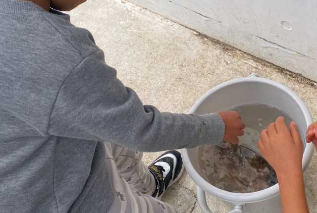 【晴れパークたてやま】釣った鯛を見ている息子