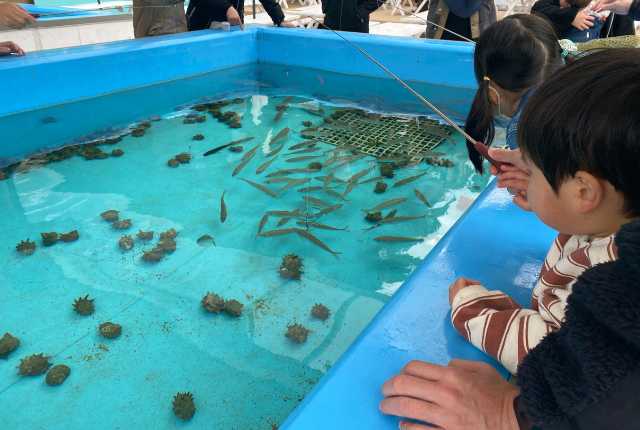 【晴れパークたてやま】初めての釣りを楽しむ次男